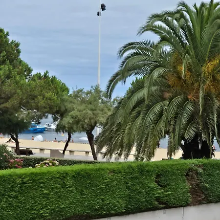 Face Au Bassin Plein Centre D