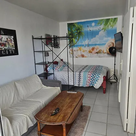 Face Au Bassin Plein Centre D Аркашон